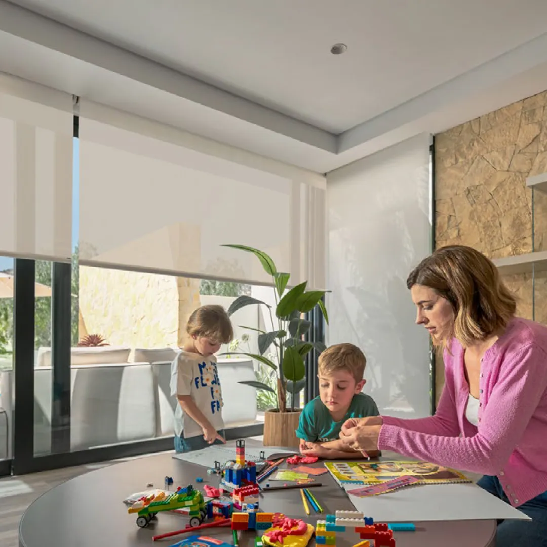 Sistema Motionblinds